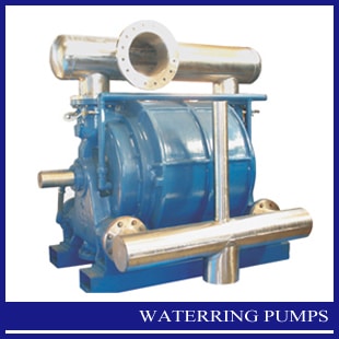 Waterring Pumps Manufacturer