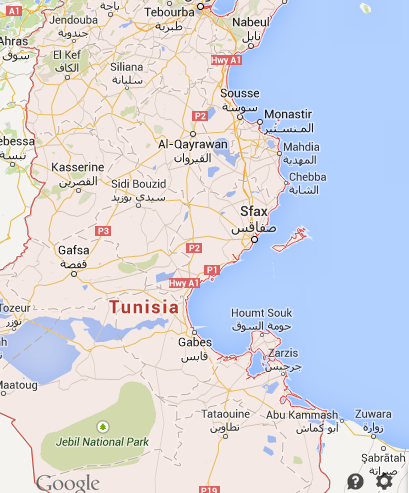 vacuum pumps manufacturer in tunisia